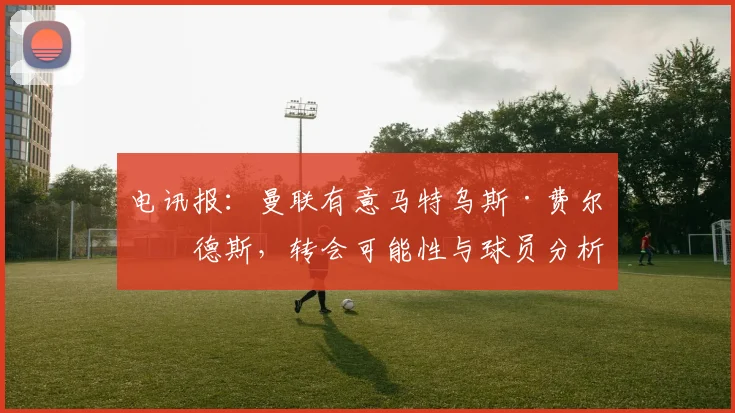 电讯报:曼联有意马特乌斯·费尔南德斯,转会可能性与球员分析