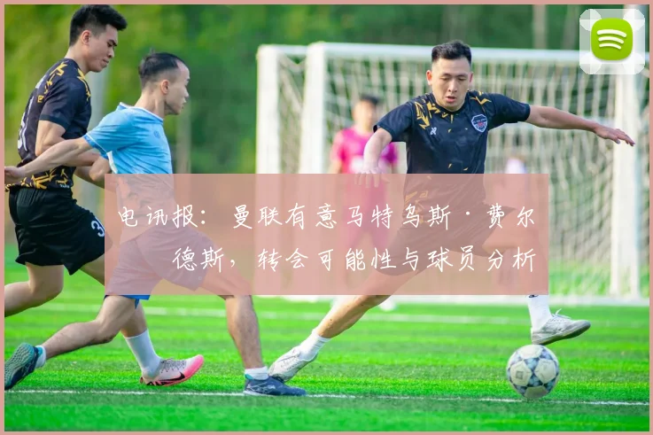 电讯报：曼联有意马特乌斯·费尔南德斯，转会可能性与球员分析